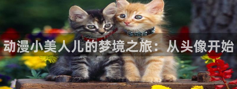 age动漫下载安装：动漫小美人儿的梦境之旅：从头像开始